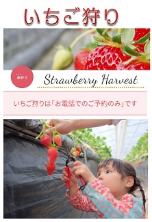 2026年1月10日（土）～ 5月下旬